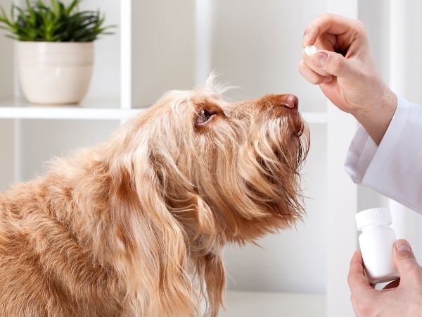preventative-care-prescriptions