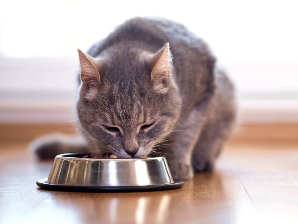 diet-and-nutrition-2